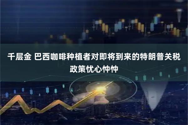 千层金 巴西咖啡种植者对即将到来的特朗普关税政策忧心忡忡