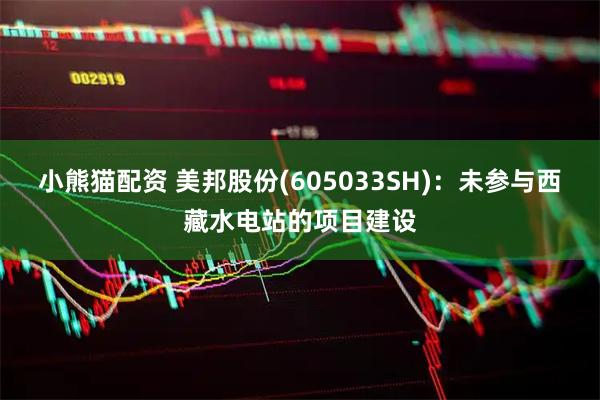 小熊猫配资 美邦股份(605033SH)：未参与西藏水电站的项目建设
