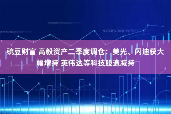 豌豆财富 高毅资产二季度调仓：美光、闪迪获大幅增持 英伟达等科技股遭减持